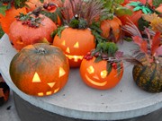 Dýňování s rodiči